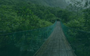Costa Rica Fakt3