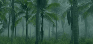 Costa Rica Fakt6